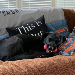 Meet your Posher, Kathy